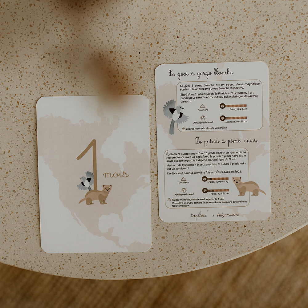 cartes étapes réversibles animaux tapilou x babyatoutprix
