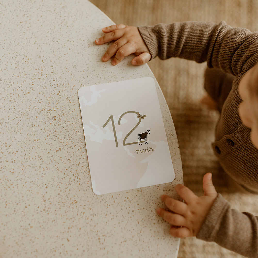 carte étape 12 mois tapilou x babyatoutprix